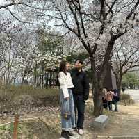 푸릇푸릇한 자연속의 쉼터 인천대공원🏞️