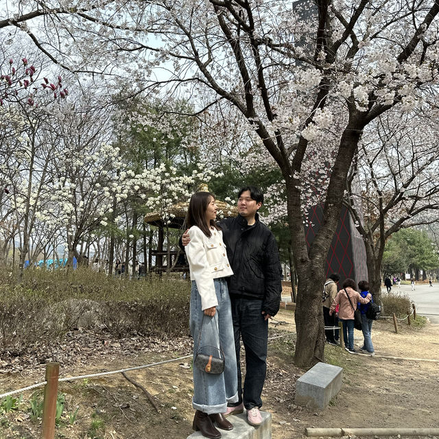 푸릇푸릇한 자연속의 쉼터 인천대공원🏞️