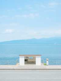 【佐渡島】透き通った海の絶景💎今こそ行きたい佐渡島の海フォトスポット🩵✨  
