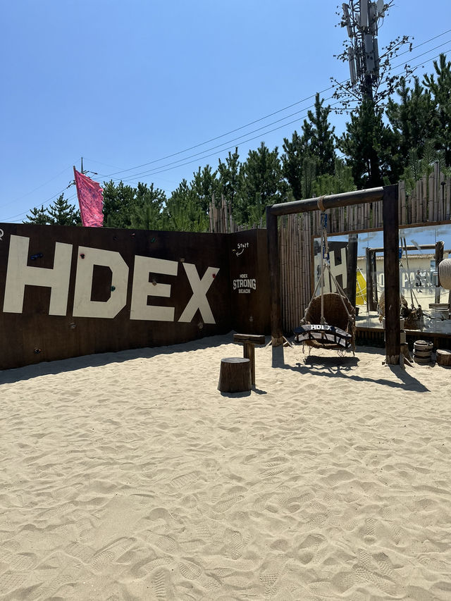 팝업부터 서핑까지 다양한 즐길거리가 있는 🏄‍♂️ 양양 서피비치