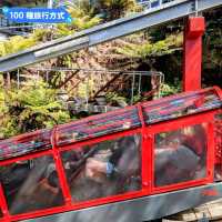 澳洲雪梨-一次體驗藍山國家公園的三種纜車