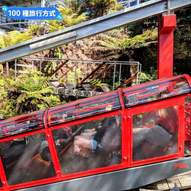 澳洲雪梨-一次體驗藍山國家公園的三種纜車