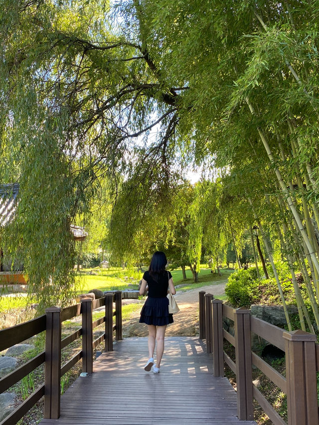 피톤치드 가득한 숲속여행 어때요??