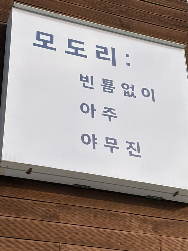 경산 돈까스 찐맛집 [모도리식당] 🐷