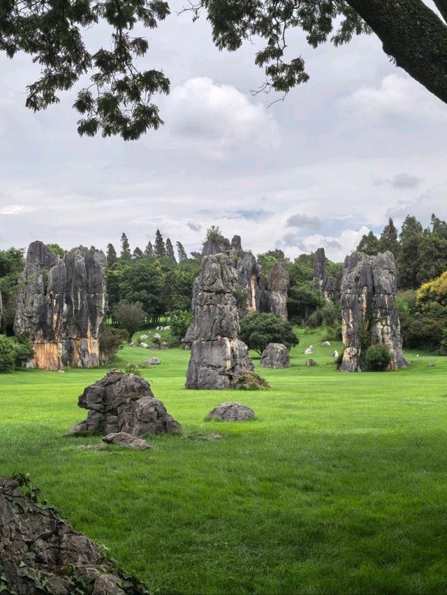 Stone Forest in Kunming 