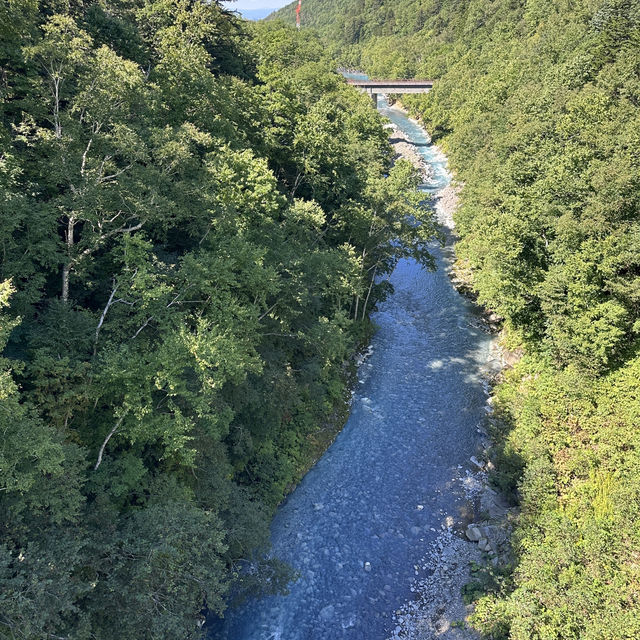 最純粹的藍，北海道的絕美幻境：青池
