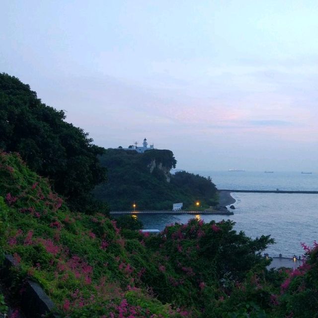 穿越時光，啜飲海風：高雄打狗博物館的午後時光
