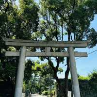 🏯遼闊開揚🏯 龜山城🏯