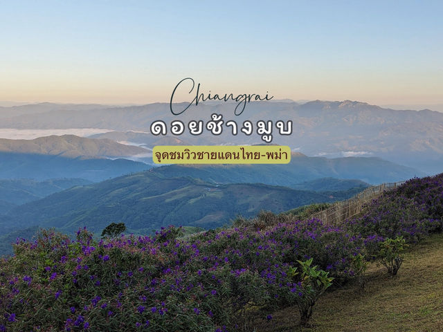 ดอยช้างมูบ ~ จุดชมวิวชายแดนไทย-พม่า