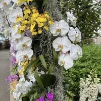 A Floral Wonderland
