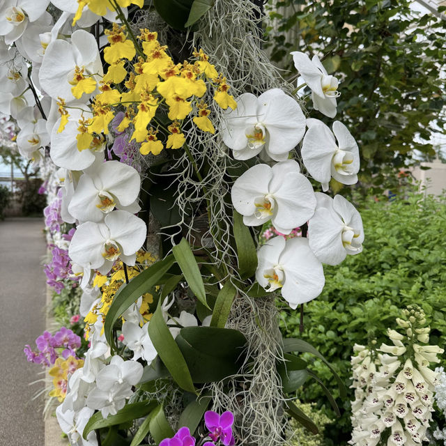 A Floral Wonderland