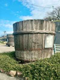 【日本四國】小豆島一日環島遊:環島觀光巴士,輕鬆遊覽主要景點