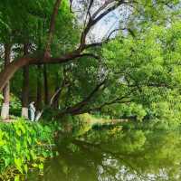 二井灣濕地公園：城市氧吧🌿🌊✨