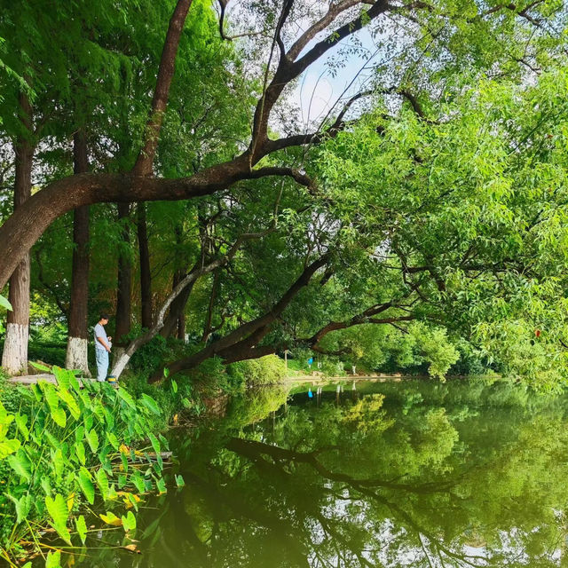 二井灣濕地公園：城市氧吧🌿🌊✨