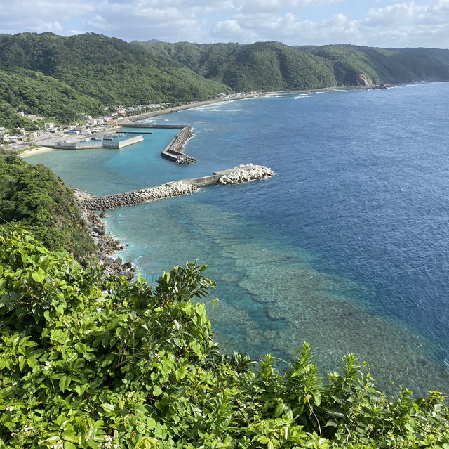 沖縄で連泊出来るなら『やんばる』へ