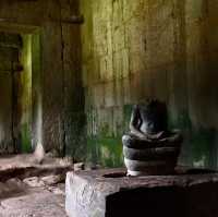 See Angkor Wat and Die