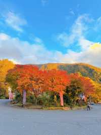 【群馬】超穴場紅葉スポット!!奇跡の絶景を楽しもう🧡