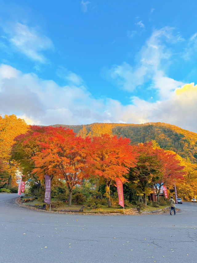 【群馬】超穴場紅葉スポット!!奇跡の絶景を楽しもう🧡