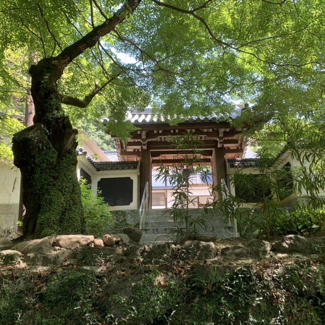 四国遍路　八栗寺