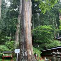 二荒山神社　世界文化遺産巡り