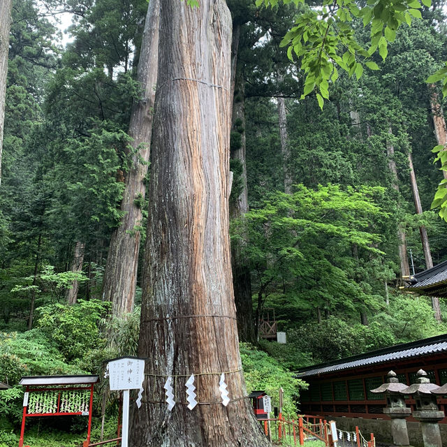 二荒山神社　世界文化遺産巡り