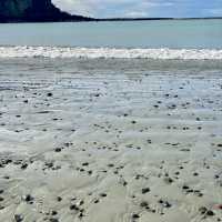 紐西蘭Timaru Dashing Rock看海看海豹