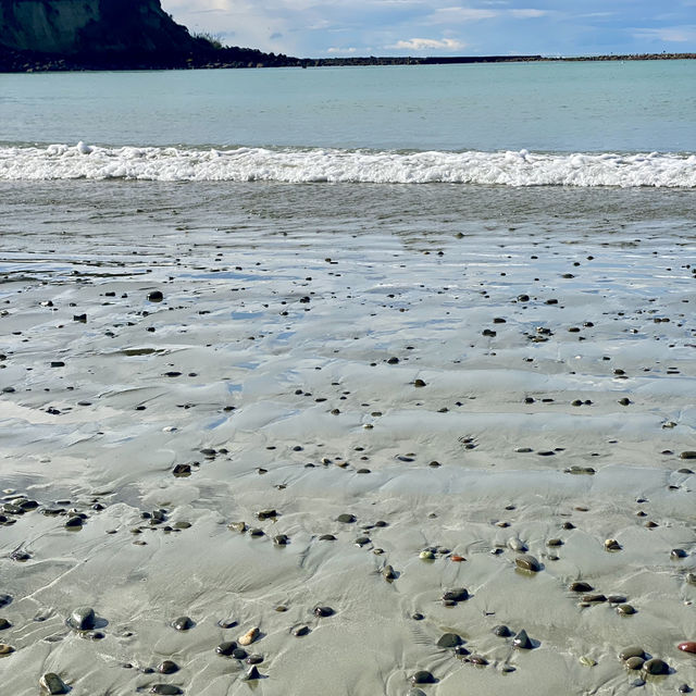 紐西蘭Timaru Dashing Rock看海看海豹
