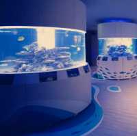 潮境智能海洋館：科技與海洋的完美融合