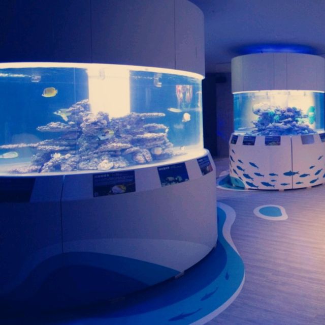 潮境智能海洋館：科技與海洋的完美融合
