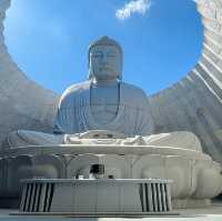모아이 석상과 큰 불상이 있는 Sapporo 성지 두대불전‘Hill of the Buda’