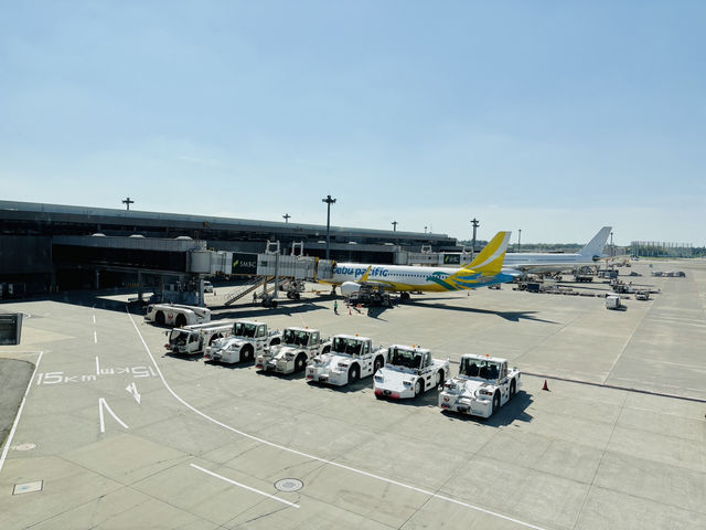 Landing at Narita Airport 🛫