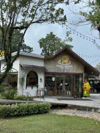 Thongyip Thongyod Cafe 🍭 กระบี่ 