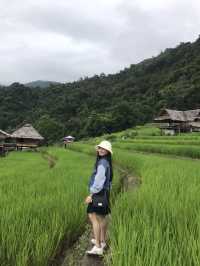 นาขั้นบันได ป่าปงเปียง