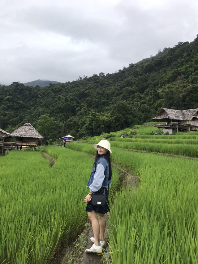 นาขั้นบันได ป่าปงเปียง