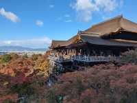 <京都 清水寺> 🇯🇵🍂名滿天下的賞楓勝地！ 