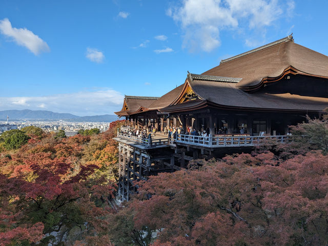 <京都 清水寺> 🇯🇵🍂名滿天下的賞楓勝地！ 