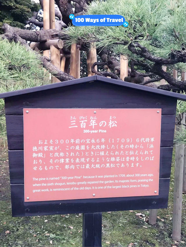 🇯🇵 Hamarikyu Gardens