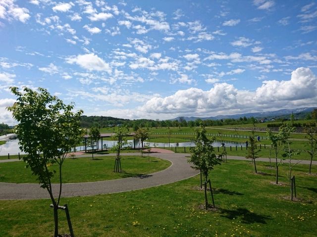 【北彩都プロムナード緑地:北海道旭川市】旭川市民の憩いの場所🌳