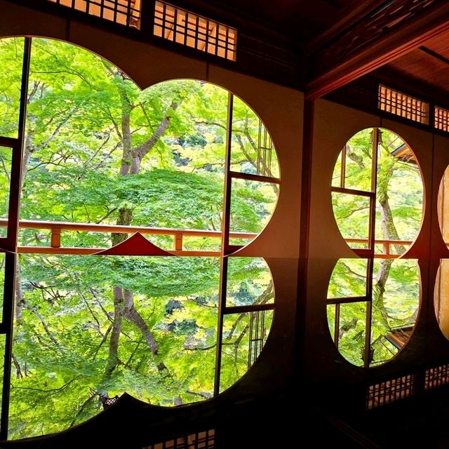 嵐山中的水鏡光影世界