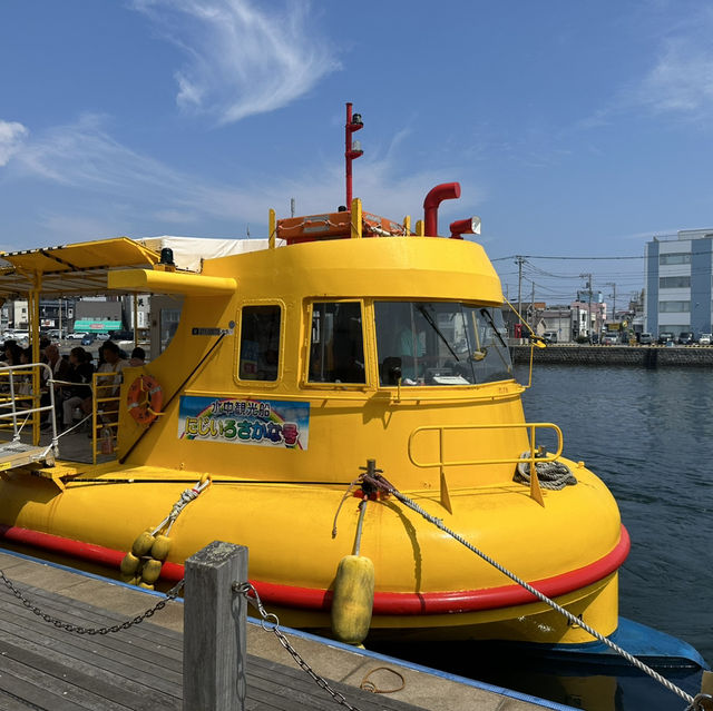 東京郊區：三浦半島吞拿魚美食一日遊之旅