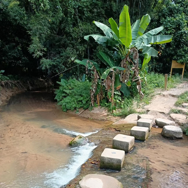 桂河碧道：綠油油的自然🌿🌊