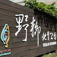 欣賞不同沉積砂岩形成的奇形怪石
