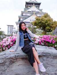 osaka castle