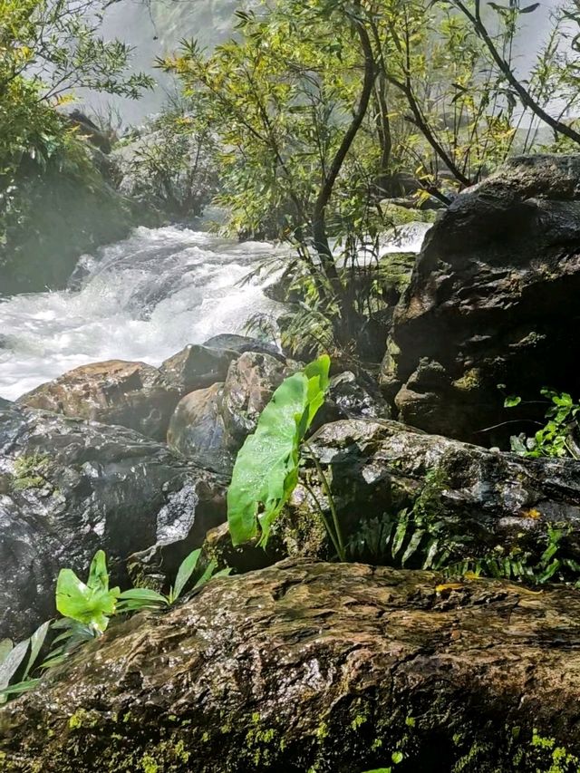 คลองลาน เดือนตุลา