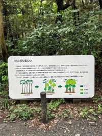 東京都庭園美術館：藝術與歷史交織的綠洲🏛️🌿