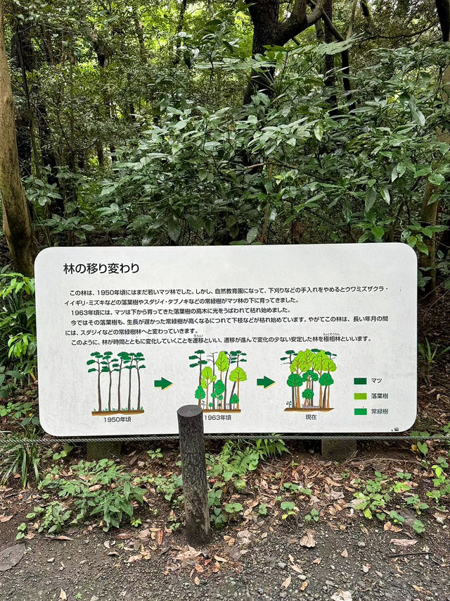 東京都庭園美術館：藝術與歷史交織的綠洲🏛️🌿