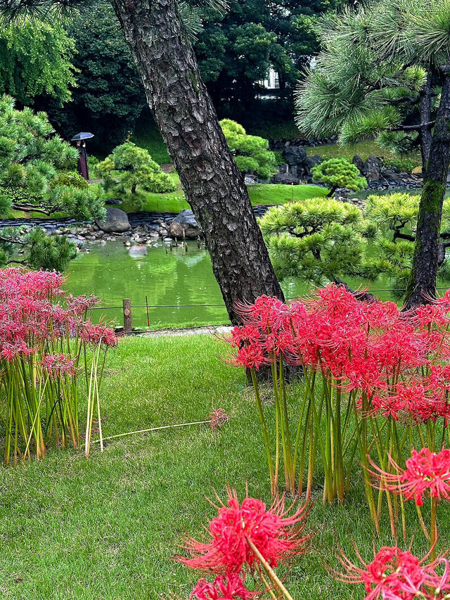 清澄庭園：東京鬧市中的寧靜綠洲🌿💧