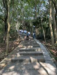 "探索深圳鄧小平塑像，感受改革開放的偉大時刻"