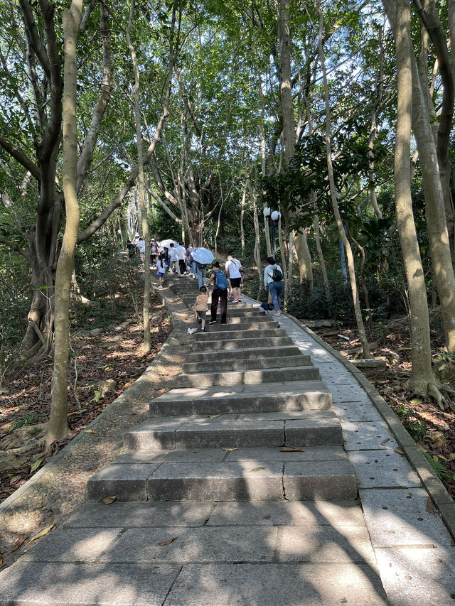 "探索深圳鄧小平塑像，感受改革開放的偉大時刻"