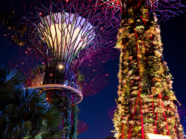 Half-Day Tour Highlights in Singapore